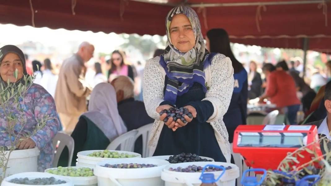 Manavgat’ta Zeytin ve Zeytinyağı Festivali İçin Geri Sayım Başladı! 7